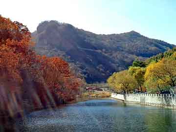 新澳天天开好彩资料大全，富川瑶族自治seo教程